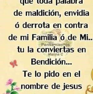 Meet your Posher, Luz